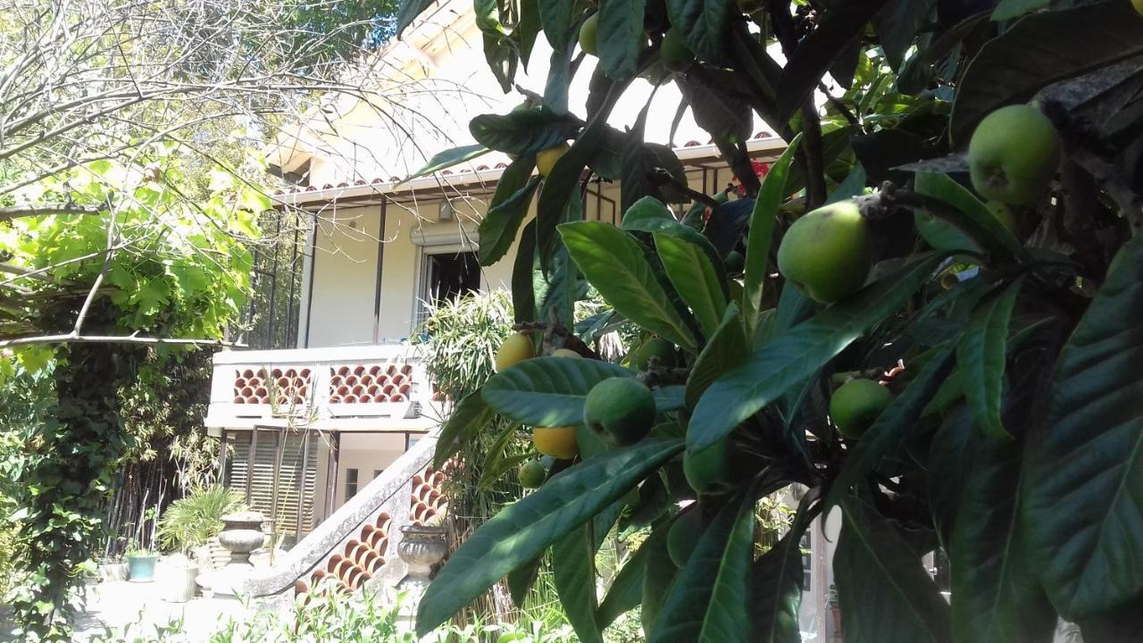 Maison D'Hotes L'Ilot Bambou Avignon Eksteriør billede